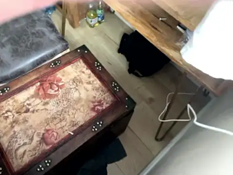 femboybandi online show from 01-12-26, 02:24