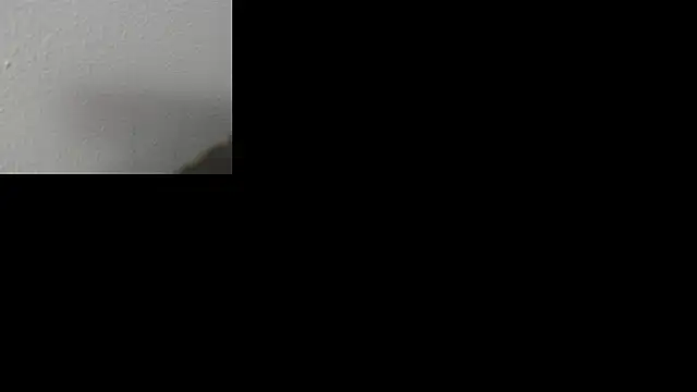 ava-am online show from 11-10-25, 03:44