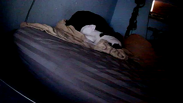 Snapshot of PornStro921 chatting on 02-11-26, 08:20 PornStro921 online show from 02-11-26, 08:20