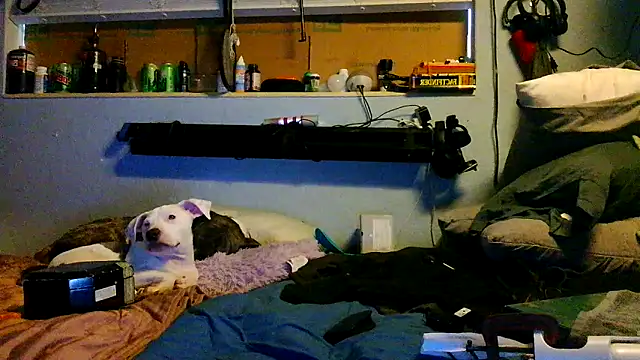 PornStro921 online show from 03-17-26, 08:45