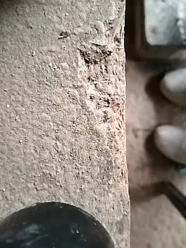 Snapshot of surfacespurt54 chatting on 10-23-25, 09:41 surfacespurt54 online show from 10-23-25, 09:41