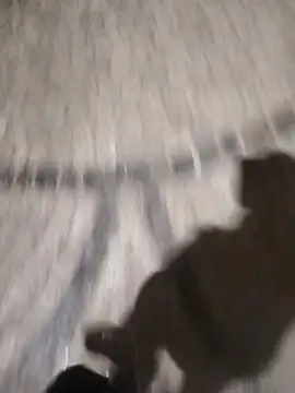 Snapshot of surfacespurt54 chatting on 03-17-25, 11:35 surfacespurt54 online show from 03-17-25, 11:35