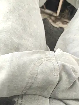 bbclip online show from 11-02-25, 08:19