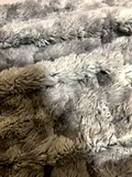 Gabduro80 online show from 11-30-25, 09:59