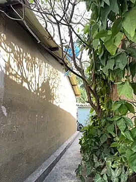 twinks 28 online show from 02-25-26, 07:14