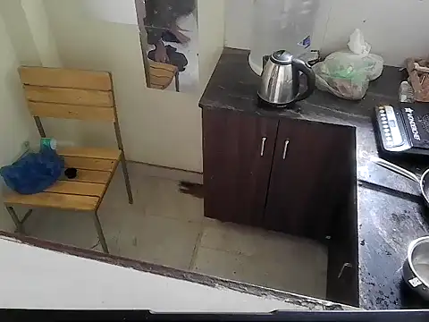 fitbuddy1 online show from 03-01-26, 07:08