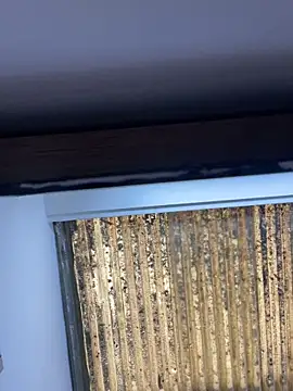 Madisson-Rivas online show from 11-13-25, 06:12