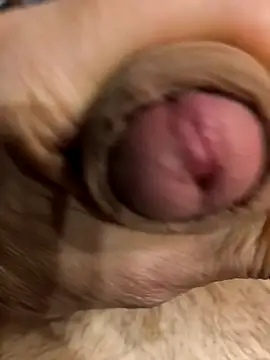 bavaricus123 online show from 03-22-26, 05:14