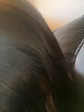 Snapshot of mel88Da chatting on 10-01-25, 01:26 mel88Da online show from 10-01-25, 01:26