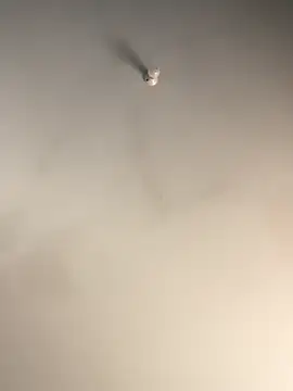 1Zoey101 online show from 12-02-25, 07:32