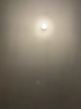 1Zoey101 online show from 04-02-26, 03:41