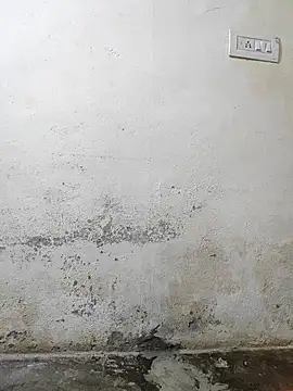 Snapshot of pallu_telgu_kannada chatting on 03-04-26, 05:31 pallu telgu kannada online show from 03-04-26, 05:31