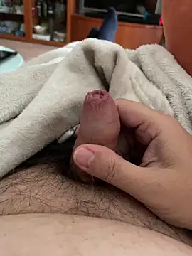 Snapshot of littletoy64 chatting on 10-30-25, 08:34 littletoy64 online show from 10-30-25, 08:34