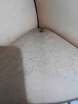 yakot7 online show from 10-04-25, 09:38