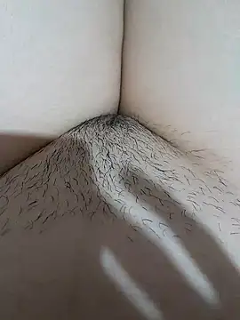 yakot7 online show from 11-14-25, 11:30