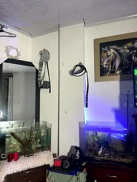 CRAZY-BOY99 online show from 01-15-26, 08:51