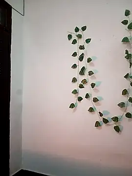 Neha-Bhabhi-Rasily online show from 02-20-26, 11:12