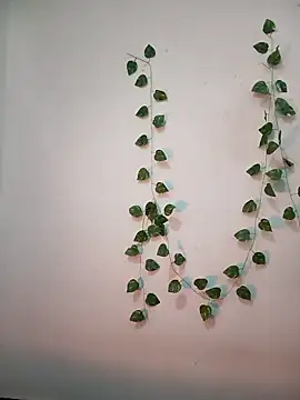 Neha-Bhabhi-Rasily online show from 02-18-26, 11:17