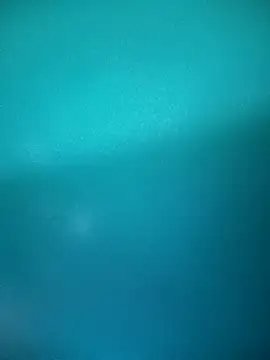 Snapshot of Neha-Bhabhi-Rasily chatting on 09-23-25, 10:11 Neha-Bhabhi-Rasily online show from 09-23-25, 10:11