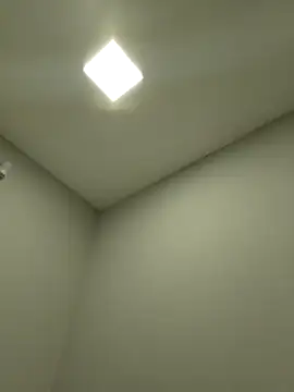 viviksmel online show from 12-16-25, 11:47