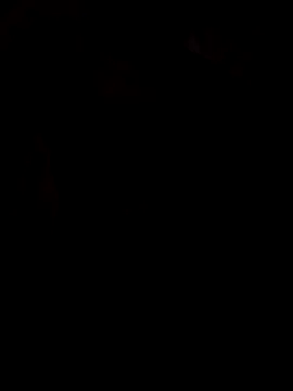 Snapshot of viviksmel chatting on 10-25-25, 11:53 viviksmel online show from 10-25-25, 11:53