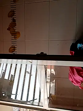 BellyDancer1 online show from 11-05-25, 08:50