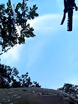 violeta delavega1 online show from 11-14-25, 10:13