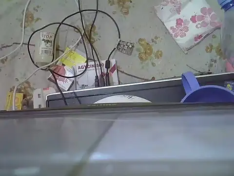 Nubian Nefertiti online show from 01-15-26, 03:04