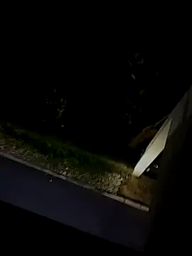Snapshot of BUTTerflyTODAY chatting on 03-01-26, 03:39 BUTTerflyTODAY online show from 03-01-26, 03:39