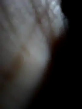 Sandra42 online show from 12-15-25, 09:48