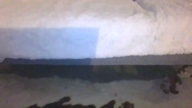 Valentinette online show from 02-11-26, 08:41