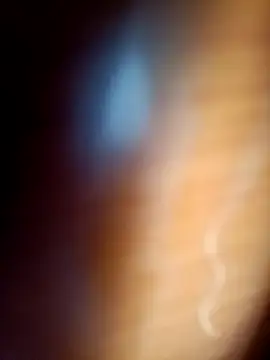 gordiricosv online show from 02-14-26, 09:37