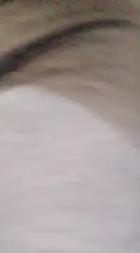 Snapshot of patrona_sexooo chatting on 03-09-25, 08:42 patrona sexooo online show from 03-09-25, 08:42