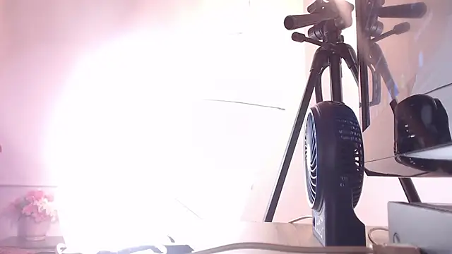 Cattleya gilQS online show from 03-20-25, 11:23