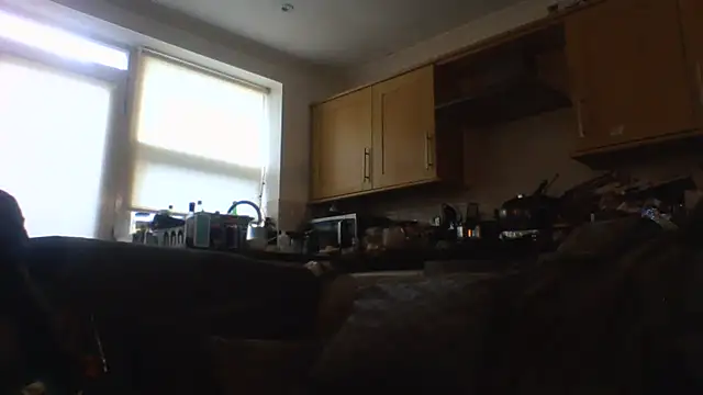 Grower and shower online show from 11-17-25, 11:47