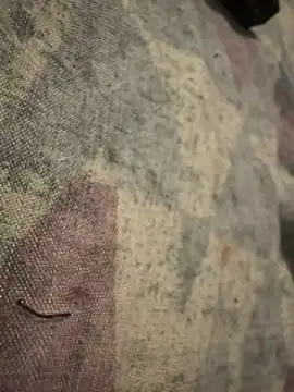 6poundtown9 online show from 04-03-26, 04:24