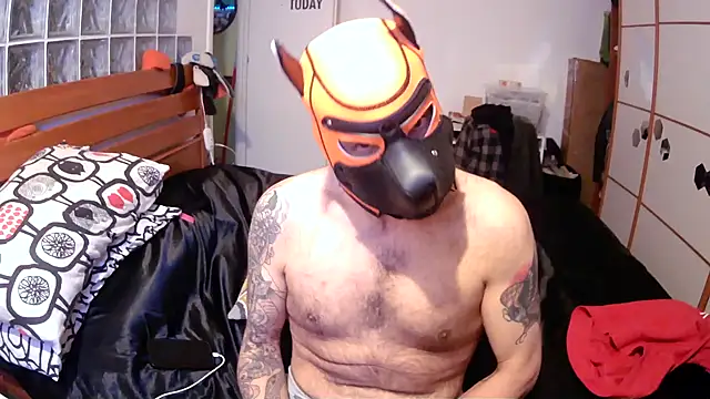 danix wild wolf online show from 12-17-25, 01:27