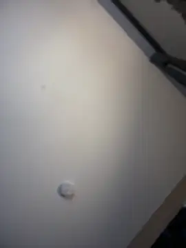 KITTYBOOBOOFUXX online show from 04-03-26, 06:31