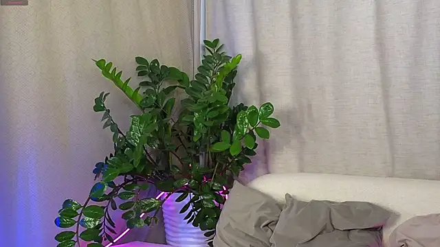 Snapshot of AmeliRoyse chatting on 09-15-25, 05:13 AmeliRoyse online show from 09-15-25, 05:13