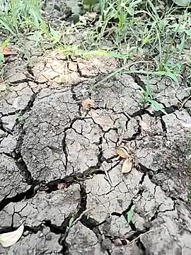 himvilohi08 online show from 04-01-26, 05:09