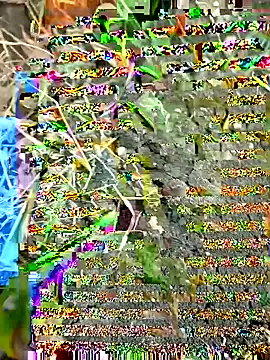 Snapshot of himvilohi08 chatting on 09-27-25, 12:33 himvilohi08 online show from 09-27-25, 12:33