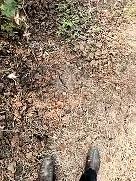 himvilohi08 online show from 01-07-26, 06:18