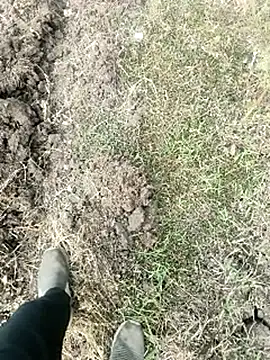 himvilohi08 online show from 01-18-26, 04:05