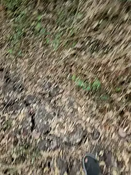 himvilohi08 online show from 03-25-26, 12:48