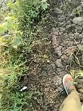 himvilohi08 online show from 03-21-26, 12:31