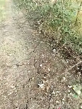 himvilohi08 online show from 02-13-26, 11:32