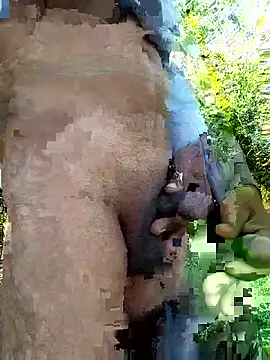 himvilohi08 online show from 12-14-25, 05:24