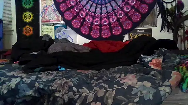 GardeniaFields online show from 02-23-26, 10:38