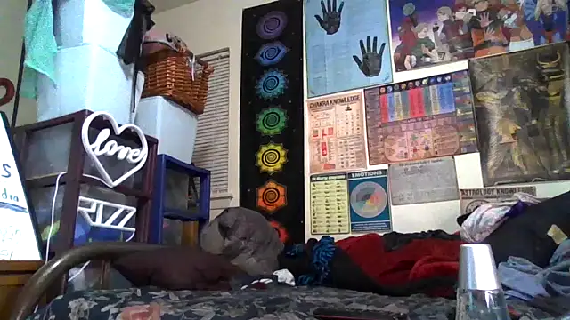 GardeniaFields online show from 10-26-25, 03:51