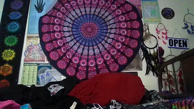 GardeniaFields online show from 02-22-26, 08:28